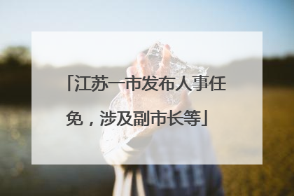 江苏一市发布人事任免，涉及副市长等
